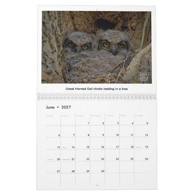 Calendrier de la faune 2026 par Kevin Harris (Jun 2027)