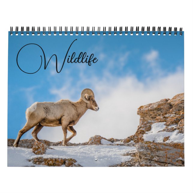 Calendrier de la faune avec légendes (Protection)