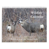 Calendrier de la faune C13
