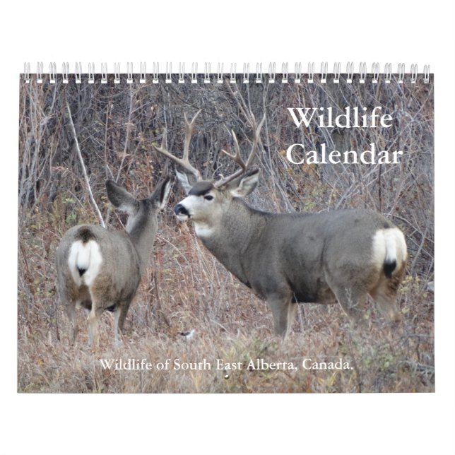Calendrier de la faune C13 (Protection)