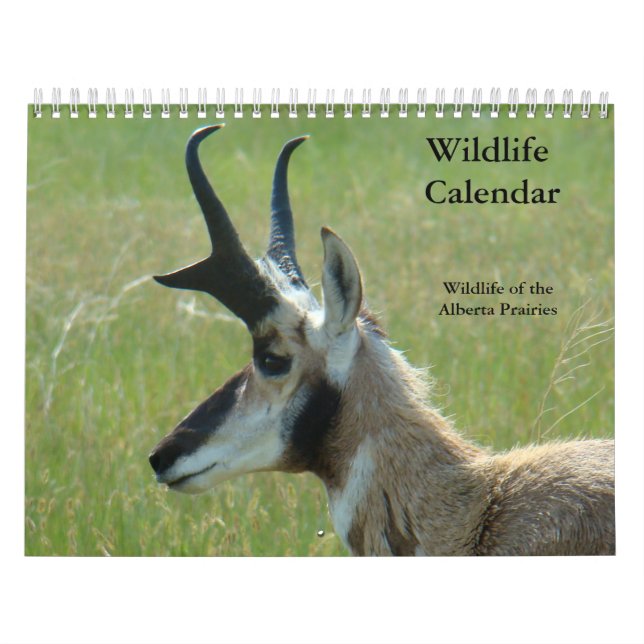 Calendrier de la faune C14 (Protection)