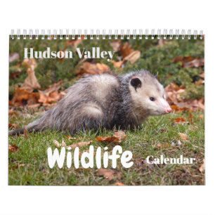 Calendrier de la faune de la vallée d'Hudson