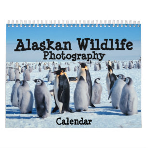 Calendrier de la faune de l'Alaska