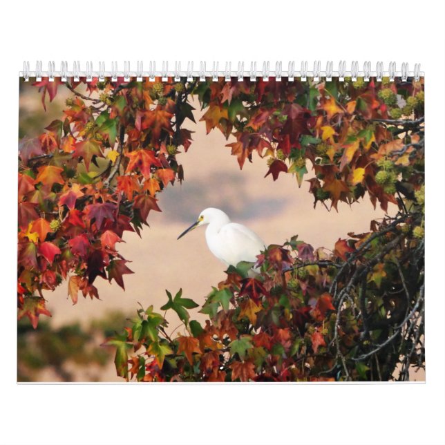 Calendrier de la faune et des oiseaux (Protection)