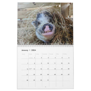 Calendrier de la ferme de paix