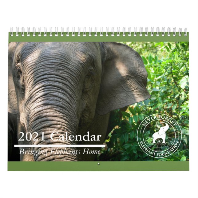 Calendrier de la Fondation Elephant 2021 (Protection)