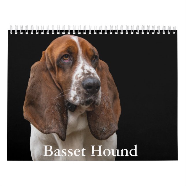 Calendrier de la liaison (Protection)