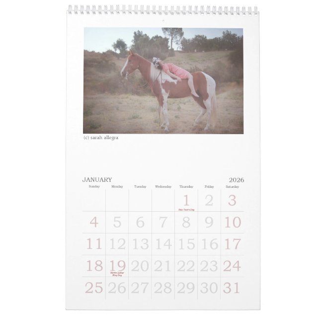 Calendrier de la magazine 2013 de confusion (Jan 2026)