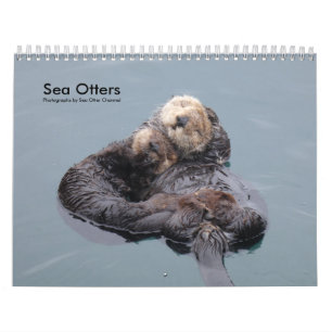Calendrier de la Manche de Loutres de mer #4