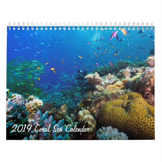 Calendrier de la mer 2019 de corail (Protection)