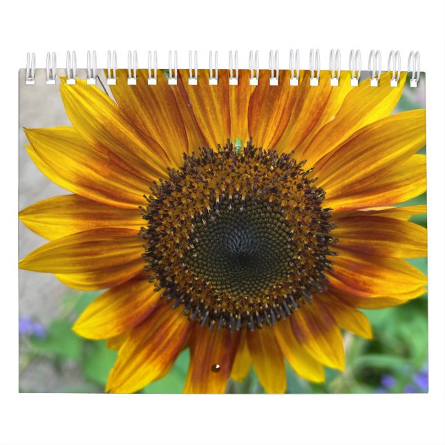 Calendrier de la nature (Protection)