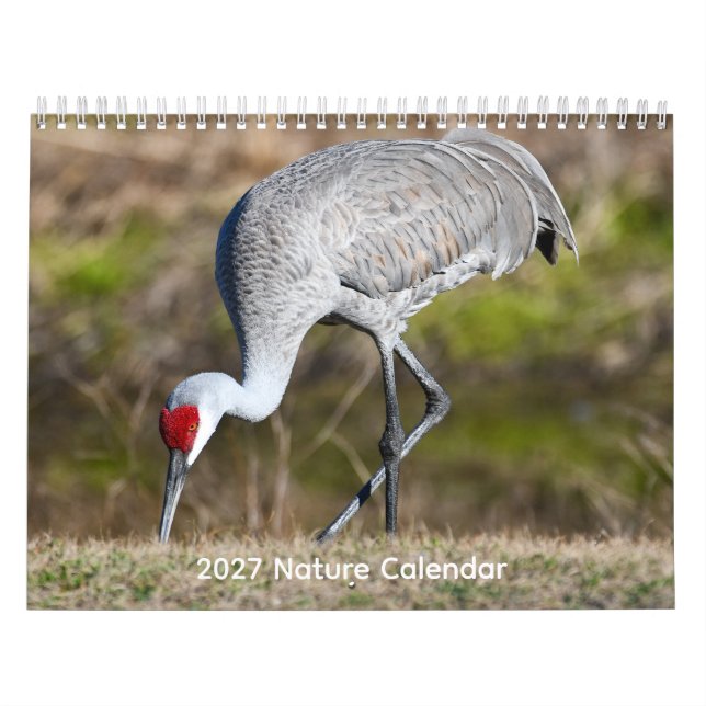 Calendrier de la Nature 2027 (Protection)