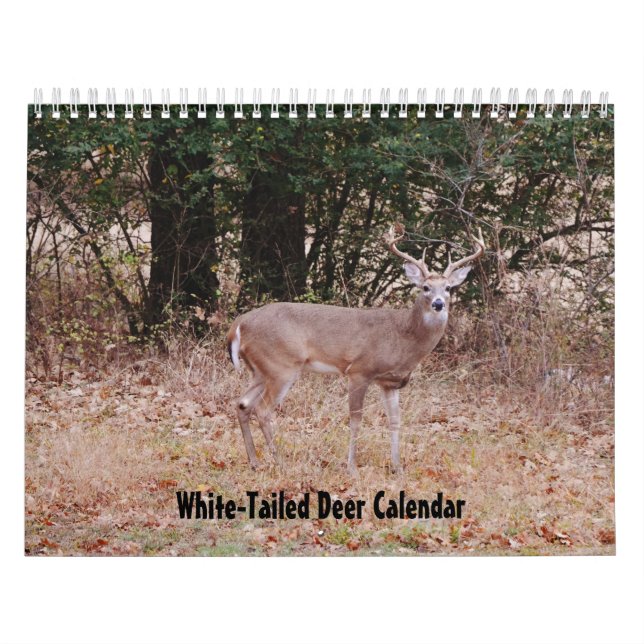 Calendrier de la nature Cerf à queue blanche (Protection)
