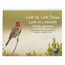 Calendrier de la nature : Regarde-Toi, Regarde-Toi