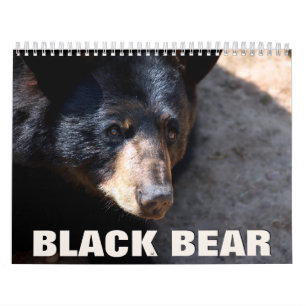 Calendrier de la paroi de l'ours noir