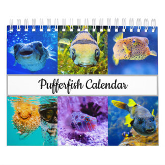 Calendrier de la pêche