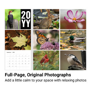 Calendrier de la photographie de la faune avec ann