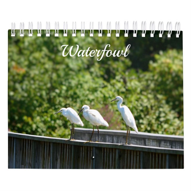 Calendrier de la sauvagine (Protection)