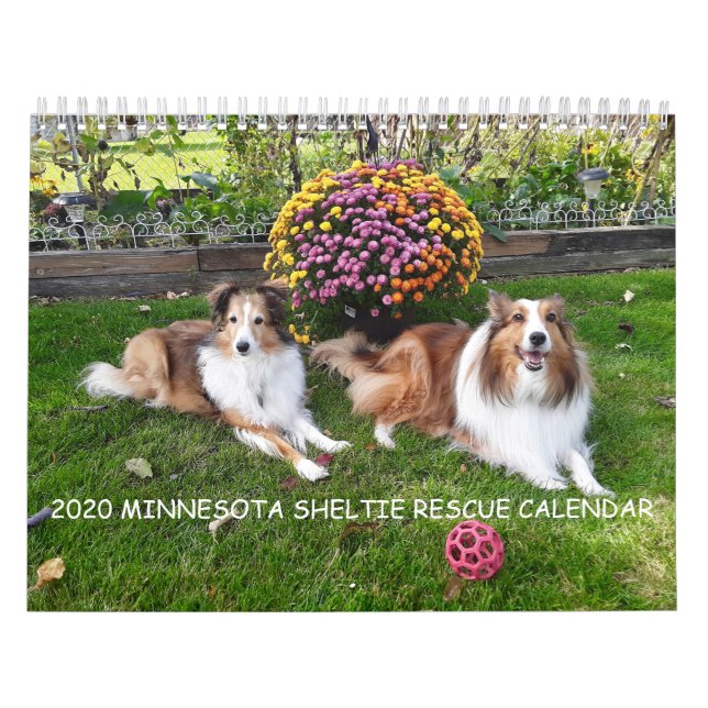 CALENDRIER DE LA SECOURT MINNESOTA SHELTIE 2020 (Protection)