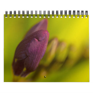 Calendrier De la terre abondante