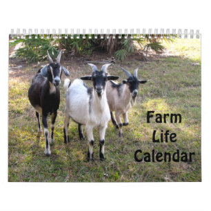 Calendrier de la vie de ferme