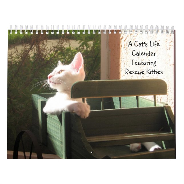 Calendrier de la vie d'un chat - avec des citation (Protection)
