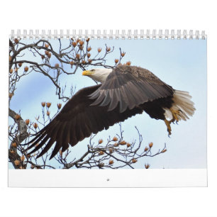 Calendrier de l'aigle