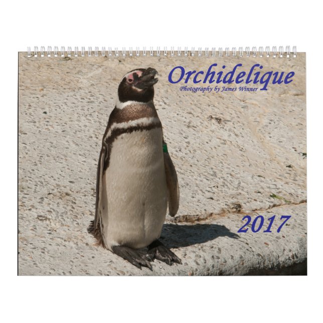 Calendrier de l'animal d'Orchidelique 2017 (Protection)