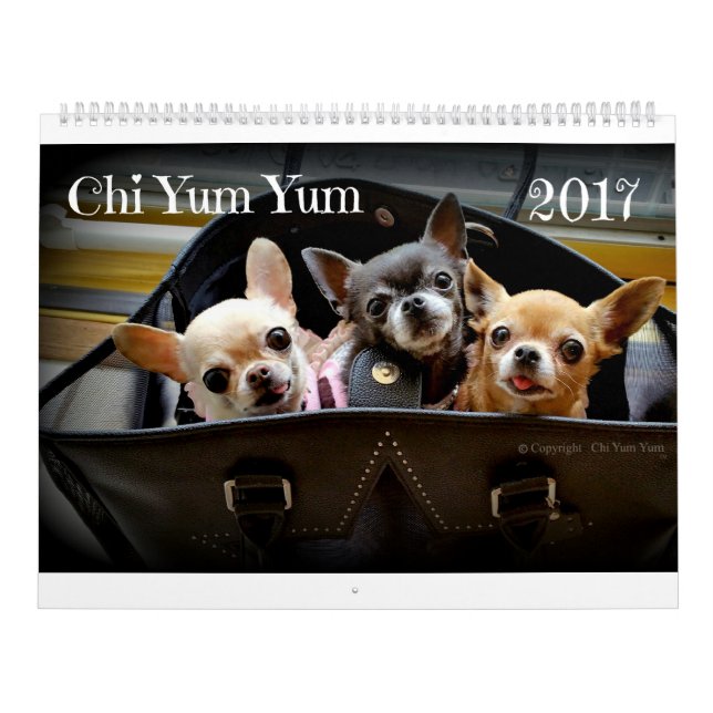 Calendrier de l'année Chi Yum 2017 (Protection)