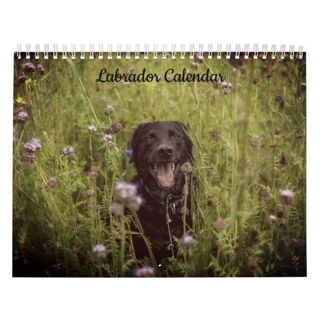 Calendrier de l'année personnalisée du Labrador (Protection)