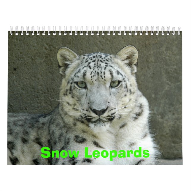 Calendrier de léopards de neige, léopards de neige (Protection)