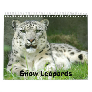 Calendrier de léopards de neige, léopards de neige