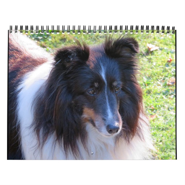 Calendrier de l'étagère (Protection)