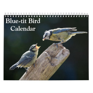 Calendrier de l'oiseau mésange bleue 2027