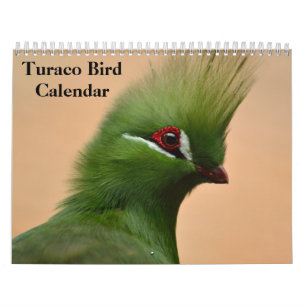 Calendrier de l'oiseau Turaco 2027
