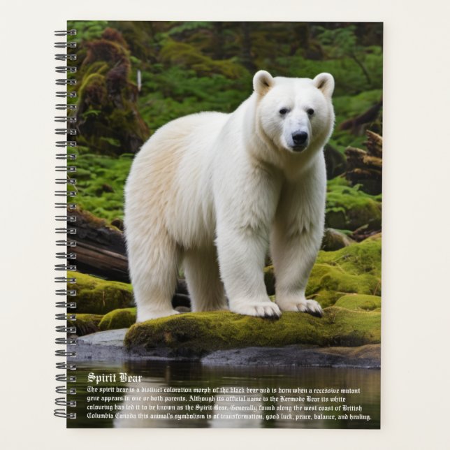 Calendrier de l'ours spirituel (Devant)