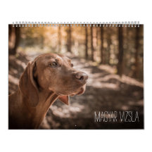 Calendrier de Magyar Vizsla