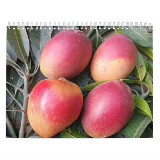 Calendrier de mangue Extraordinaire 2023