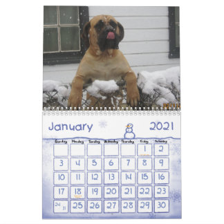 Calendrier de mastiff