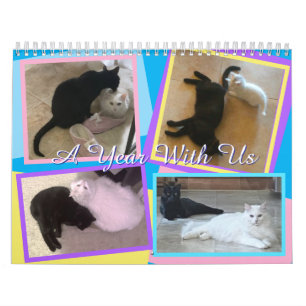 Calendrier de mes chats