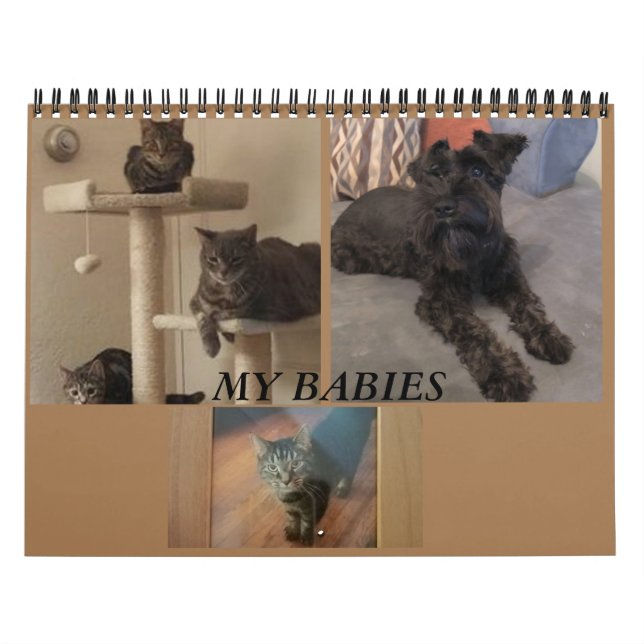 Calendrier de minimalisme TOUTE ANNÉE/TAILLE/COULE (Protection)