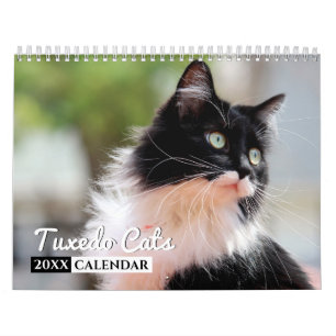 Calendrier de mur photo de chats de Tuxedo
