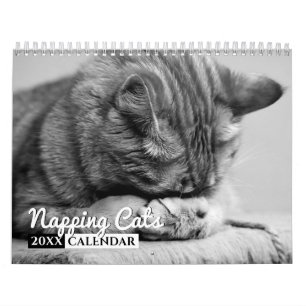 Calendrier de mur photo des chats Napping