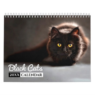 Calendrier de mur photo des chats noirs