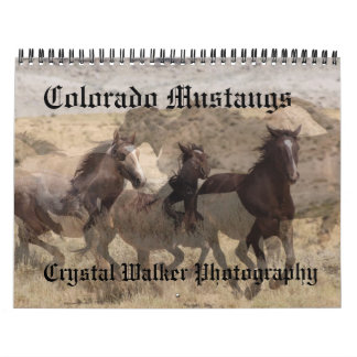 Calendrier de mustangs du Colorado