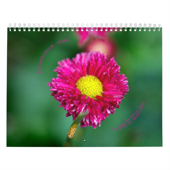 Calendrier de nature (Protection)