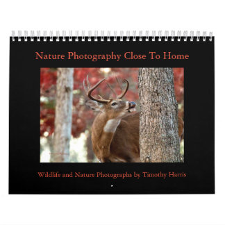 Calendrier de nature et de faune par Timothy