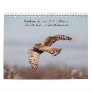 Calendrier de Northern Harrier 2021
