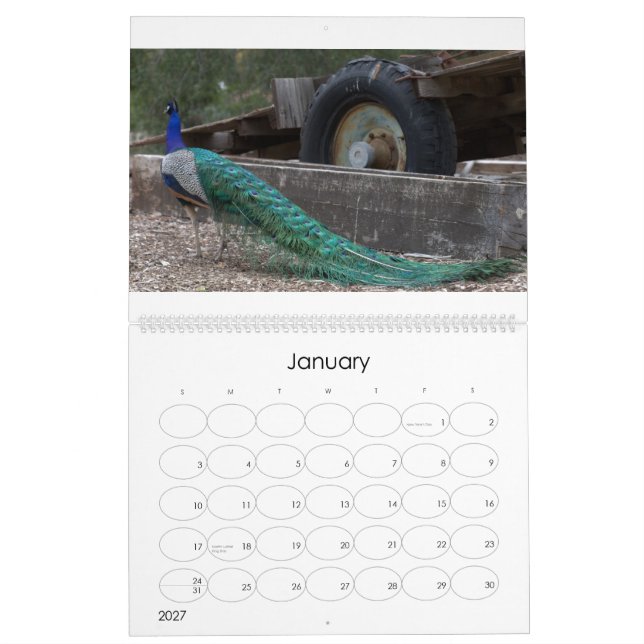 Calendrier de paons (Jan 2027)