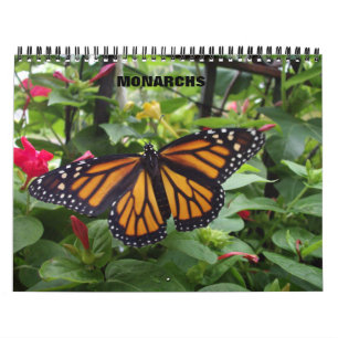 Calendrier de papillon de monarque